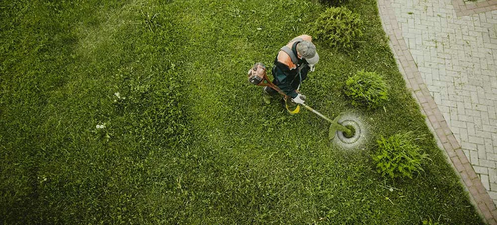 Professional Lawn Care Services across Ontario, Yates and Seneca County, NY