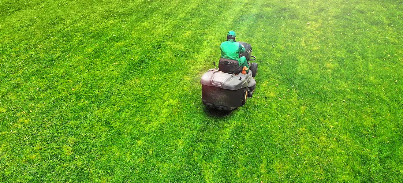 Lawn Maintenance