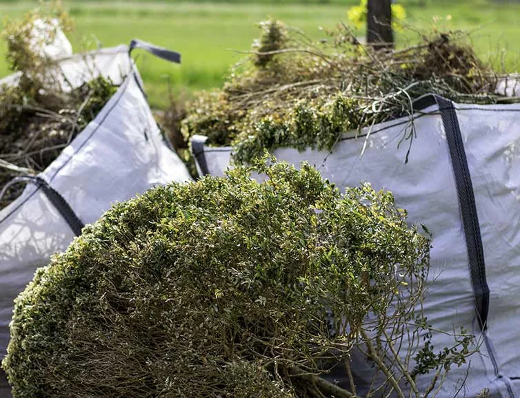 Spring & Fall Clean Up