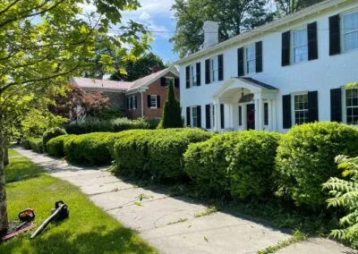 All American Landscaping work