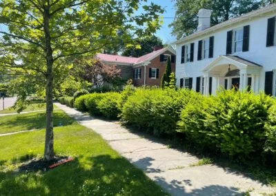 All American Landscaping work